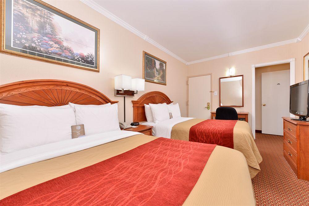 Comfort Inn Chelsea 纽约 外观 照片